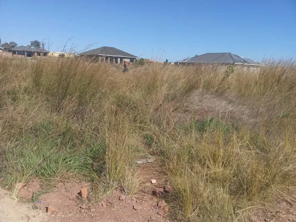 Stands & Residential Land