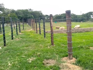 Farm & Agricultural Land