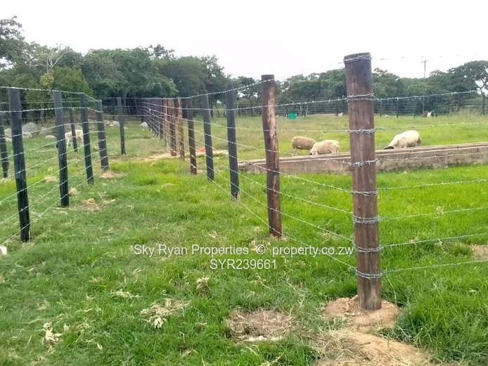 Gweru Farm For Sale