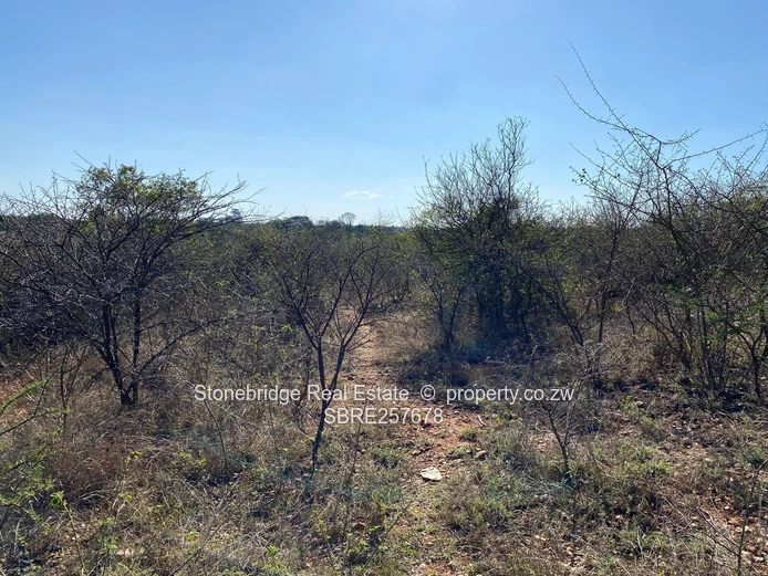2.867Ha Plot in Kensington For Sale