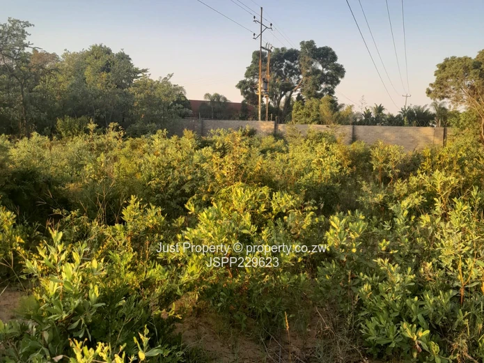 Say Goodbye to Renting in Plumtree