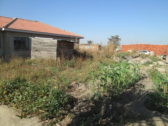 Stands & Residential Land