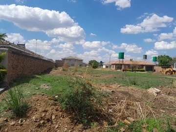 Stands & Residential Land