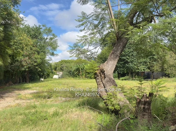 Avondale Prime Land For Sale