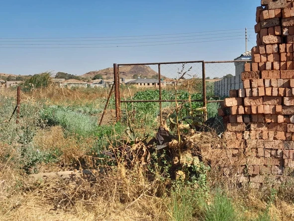 Stands & Residential Land