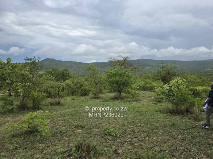 Nyanga Agro-Residential Plots for sale