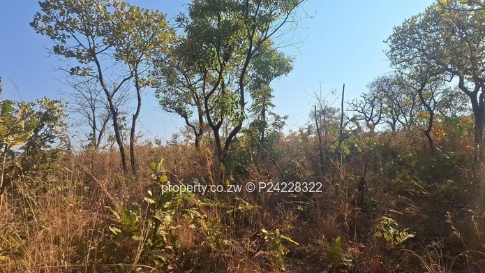 AMANDAS, CONCESSION $26k