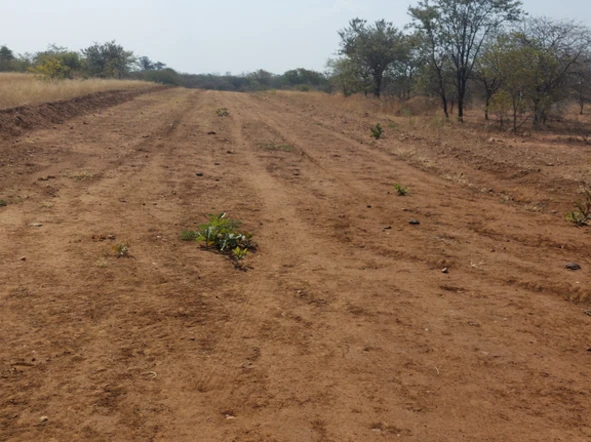 Stands & Residential Land