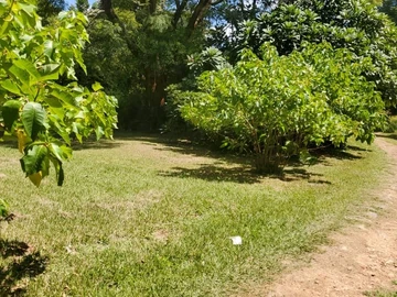 3 Ready To Build Stands For Sale!