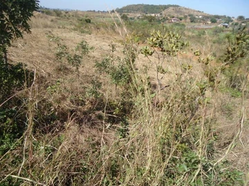 AFFORDABLE 1238m² STAND IN HARARE NORTH!