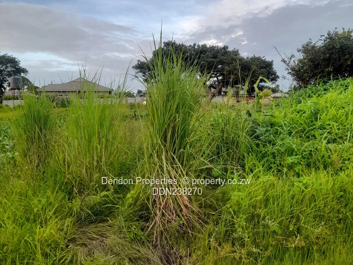 Build your dream home  (Sole Mandate)