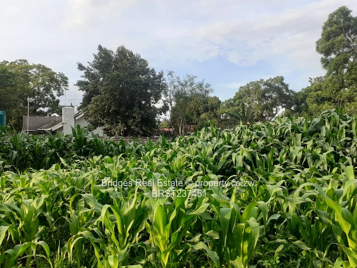 Property Development 101! The stuff of dreams!