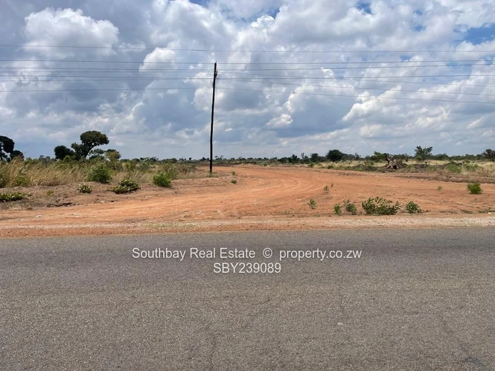 Investment Opportunity