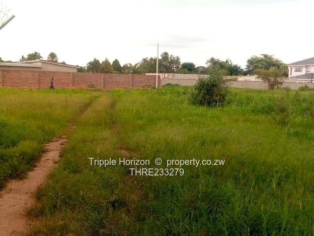 Goodhope Stand For Sale