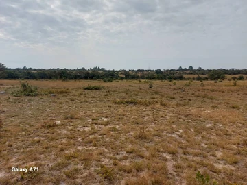 Farm & Agricultural Land