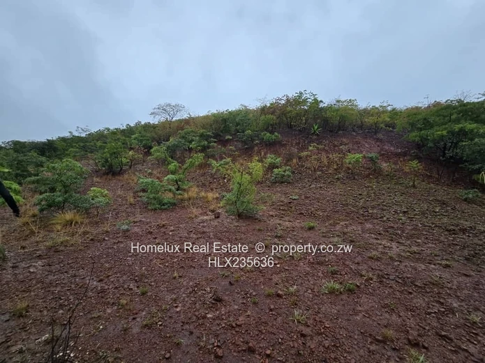 Prime Residential Stand in Westwood, Kambuzuma.  