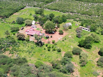 Farm & Agricultural Land