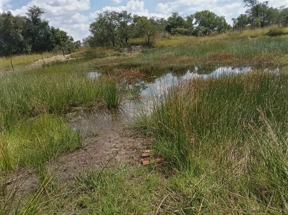 Farm & Agricultural Land
