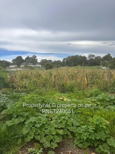 Prime residential stand 