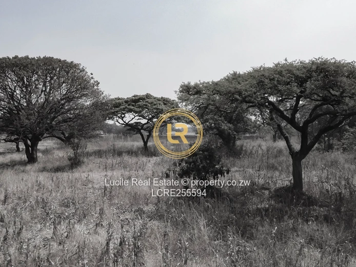 Cluster Development Land for Sale