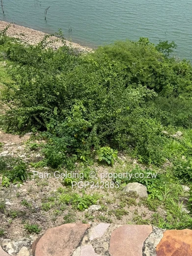 Lake View Development Stand