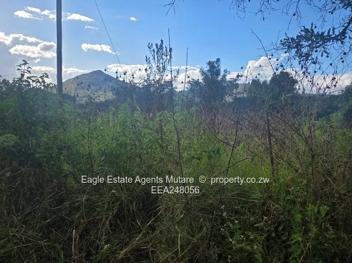 Fernvalley. Mutare