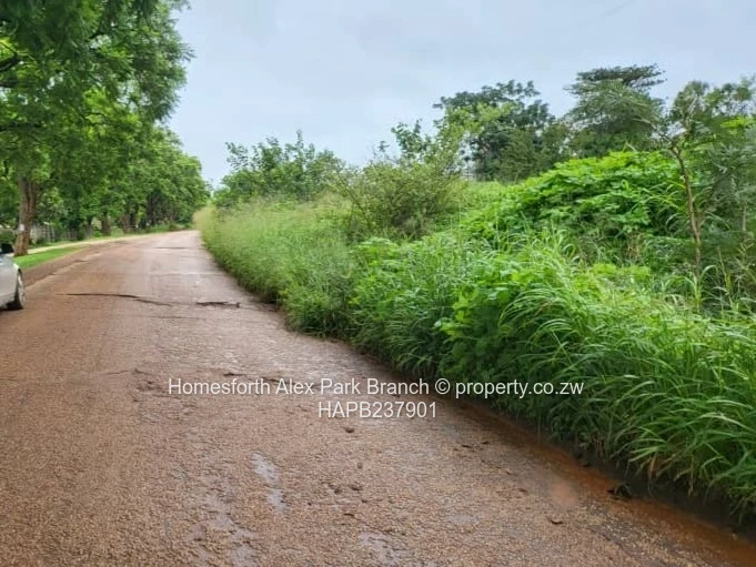 An investment opportunity...