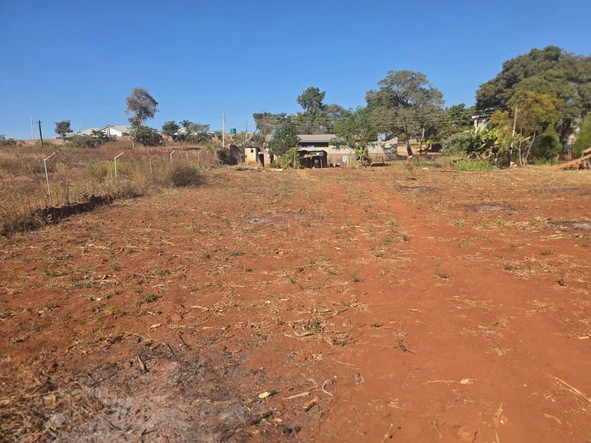 Stands & Residential Land