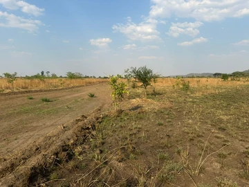 Farm & Agricultural Land