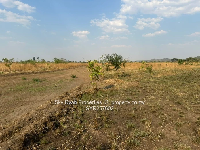 Knockmallock Estate, Norton – Agro-Residential Plots For Sale 