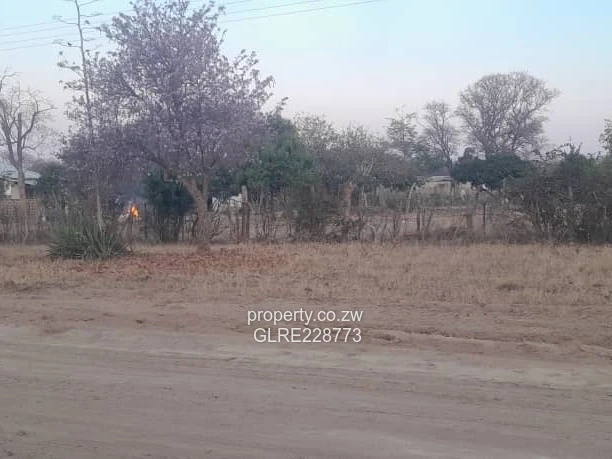 For Sale 10 000squares in plumtree subdivisable new stands
