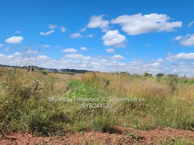 Spitzkop Stands For Sale