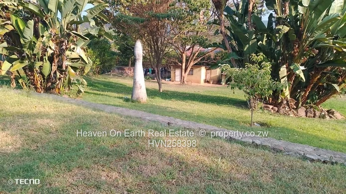Lots of Yardspace
