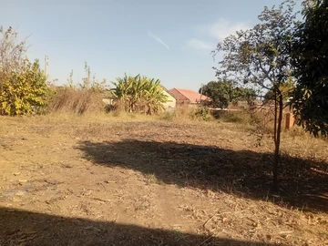 8 Bedroom House