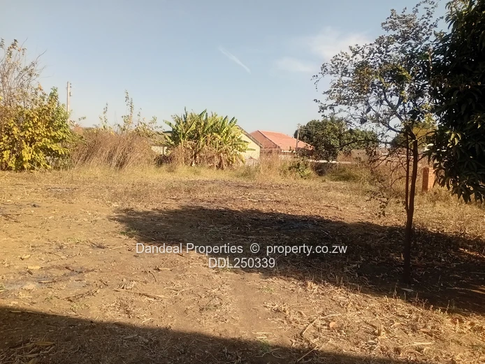 Tynwald 8-Bed Family Estate on 8094m² — Pool & Borehole