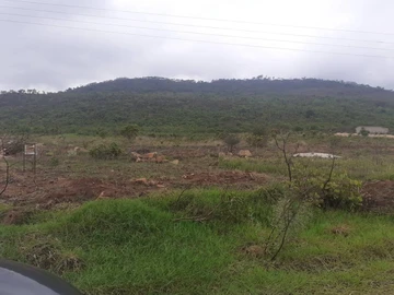 Industrialstand-Nyakamete. Mutare.