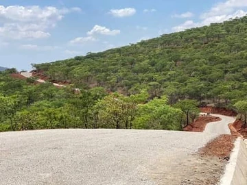 Expansive Stands for Sale in Arcturus Cromlet – Prime Location!
