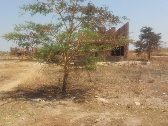 Stands & Residential Land