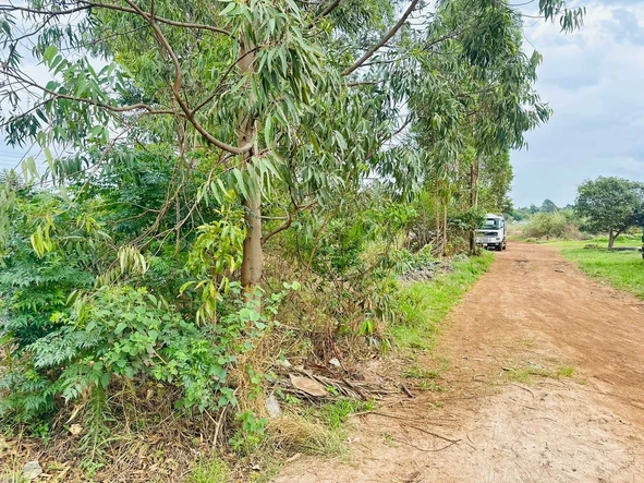 Stands & Residential Land