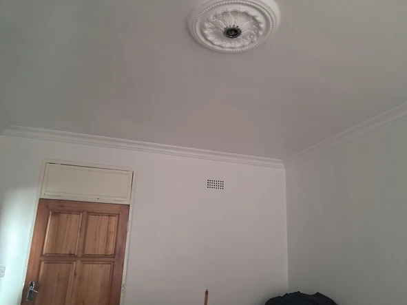 Flat & Apartment