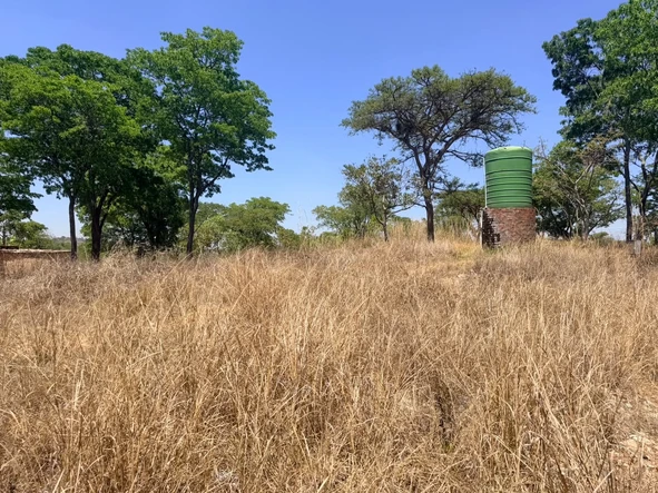Stands & Residential Land