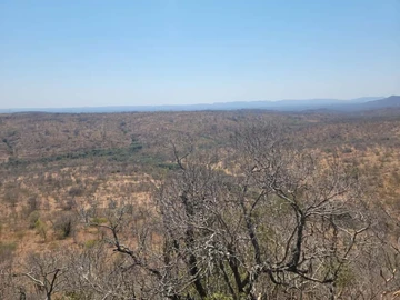 Farm & Agricultural Land