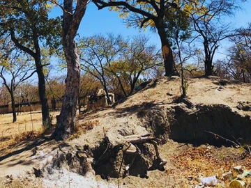 Farm & Agricultural Land