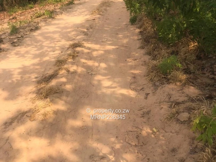 Crowhill Chizhanje Stand for sale (Sole Mandate)