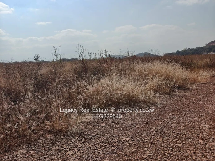 Spitzkop Stands for Sale