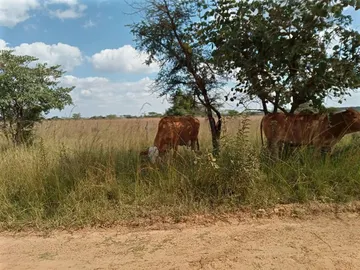 Farm & Agricultural Land