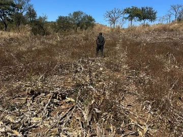 Stands & Residential Land