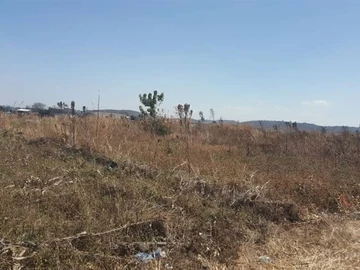 Commercial & Industrial Land