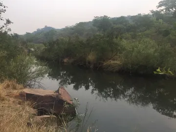 Farm & Agricultural Land