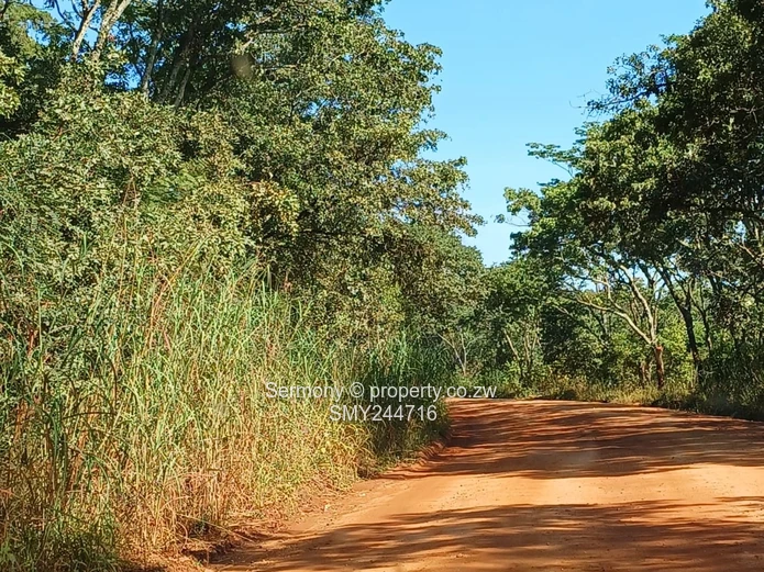 Agro Plot For Sale - Glen Forest